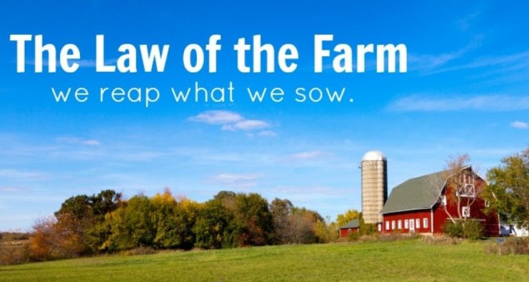 The Law Of The Farm, “You Reap What You Sow”