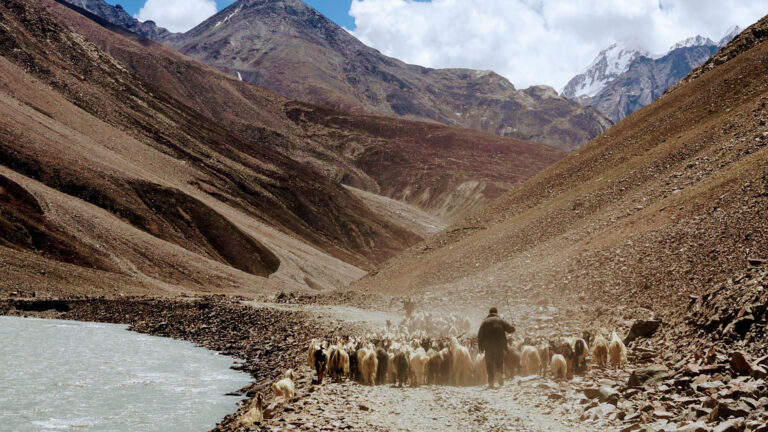 The Shepherding Assignments: To Guide and To Lead – Dag Heward-Mills