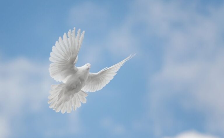 Every Day Is Pentecost When We Are ‘Filled’ with God’s Spirit